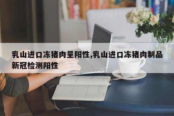 乳山进口冻猪肉呈阳性,乳山进口冻猪肉制品新冠检测阳性