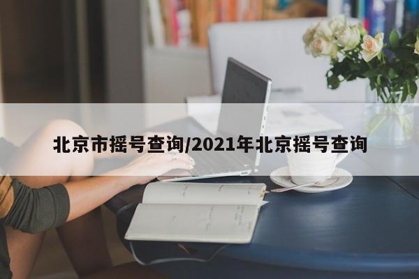 北京市摇号查询/2021年北京摇号查询