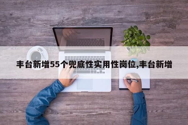 丰台新增55个兜底性实用性岗位,丰台新增